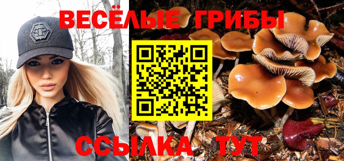Псилоцибиновые грибы мицелий  Вход с VPN  наркота  Боровичи 